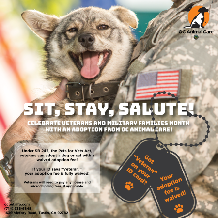 Pets for Vets_Salute_Square.