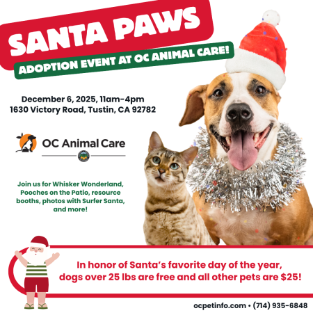 Santa Paws 2025 Adoption Event