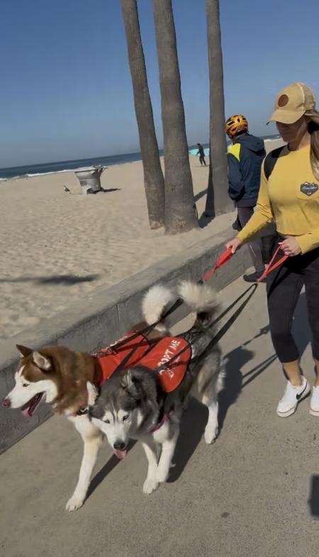 Volunteer with a shelter dog during OCAC Dog's Day Out.