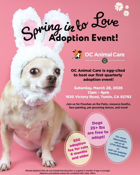 Spring into Love Adoption Event_3.28.26