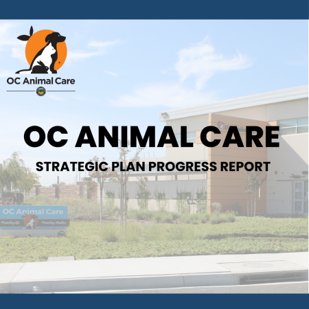 Strategic Plan News Cover Photo