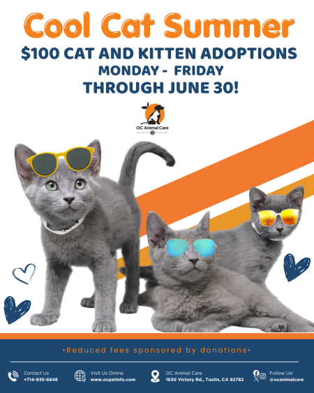 Adoption Special - Monday through Friday, adoption fees all cats and kittens are just $100 through June 30.