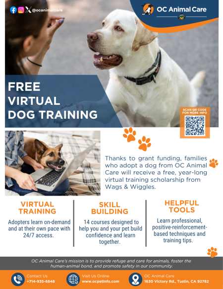 Adopt a dog from OC Animal Care and get free virtual training from Wags and Wiggles.